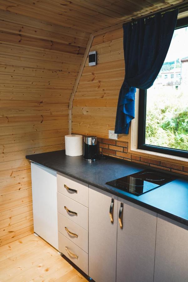 Vaso-Levani Kazbegi Cottage Екстериор снимка